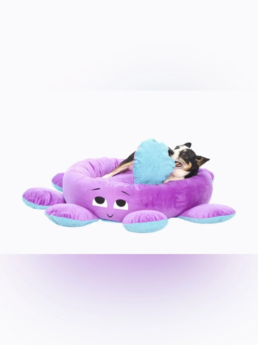 BARK Ollie the Octopus Dog Bed With 2 Plush Detachable Dog Toy Limbs
